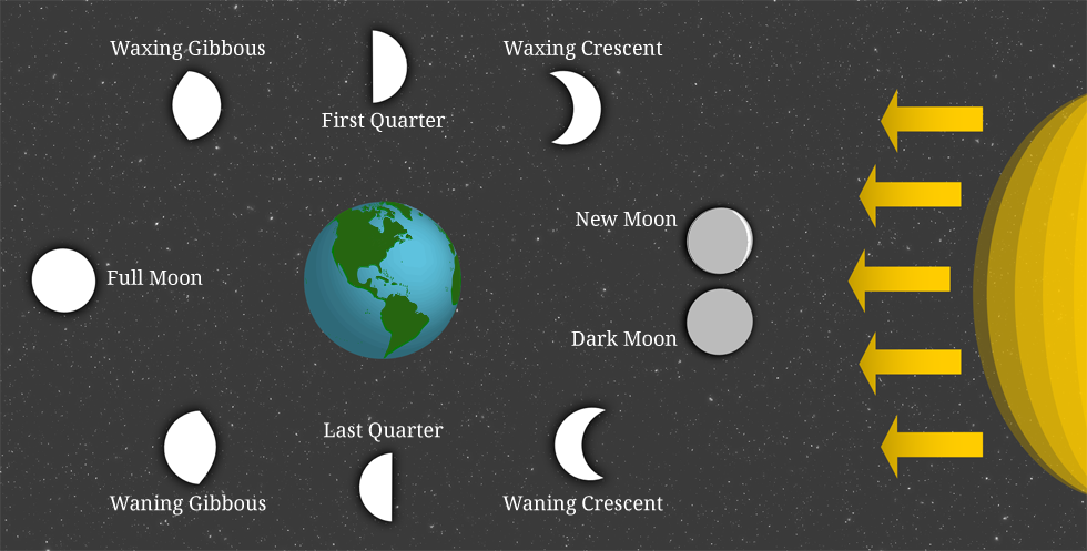 The Moon's Phases